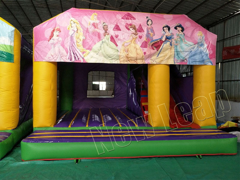 Princess Bouncy Castle