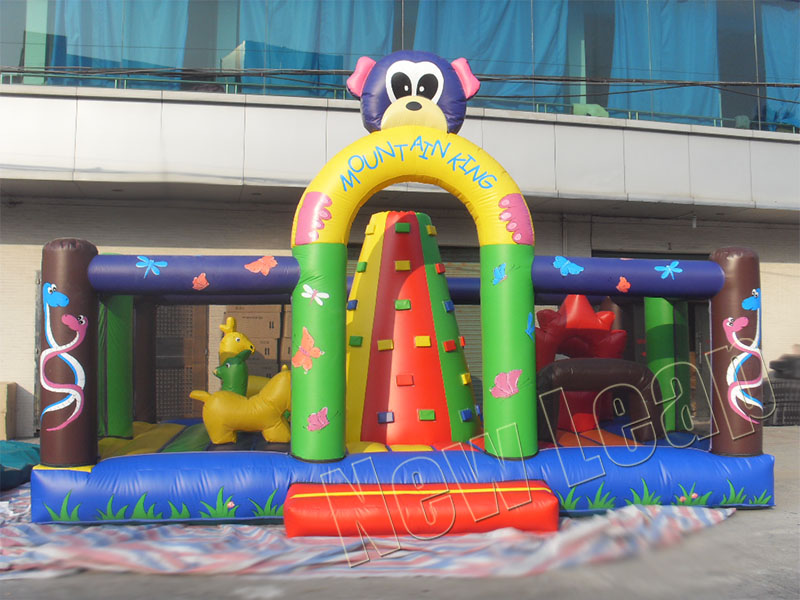 inflatable climbing wall