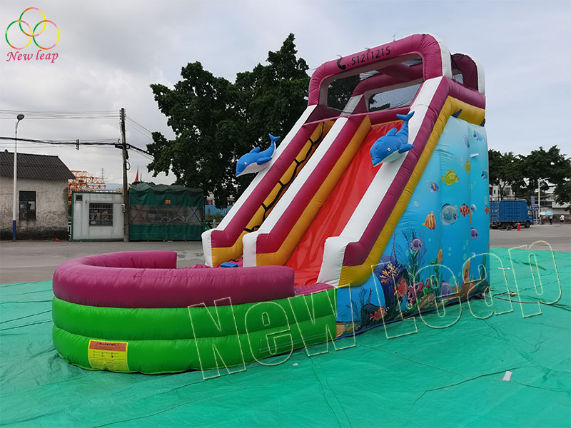 inflatable water slide with pool