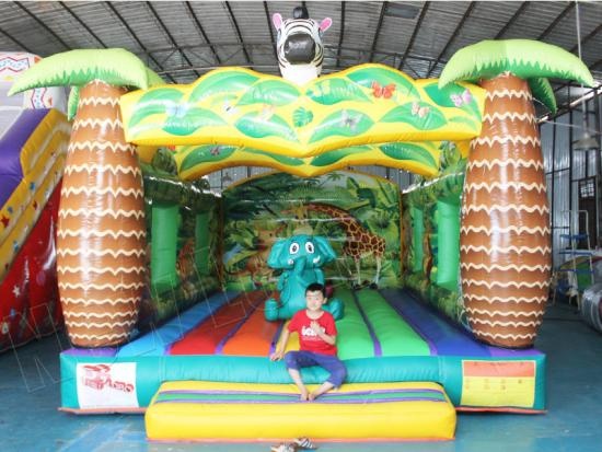 Inflatable bouncy castle