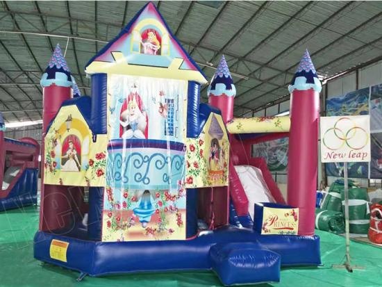 Princess bouncy castle