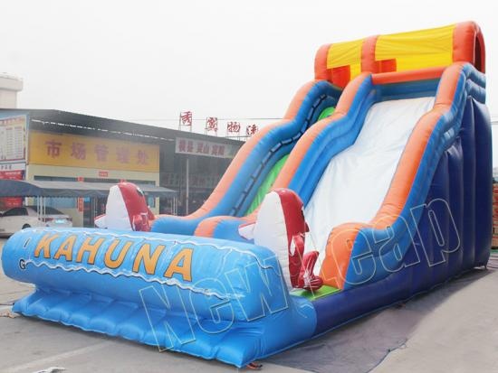 Inflatable slip N slide