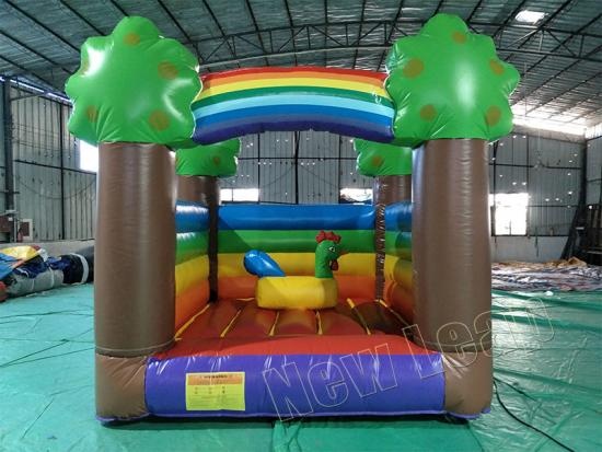 Fram inflatable bouncer