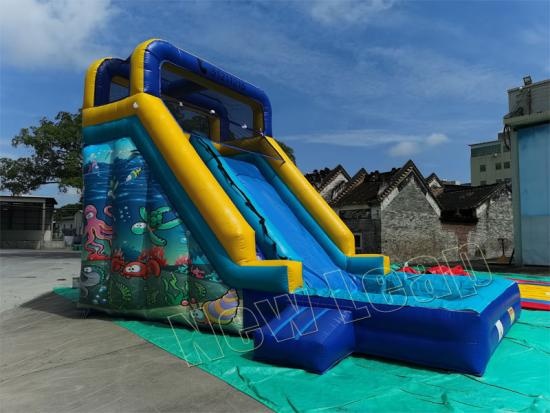 inflatable water slide with pool