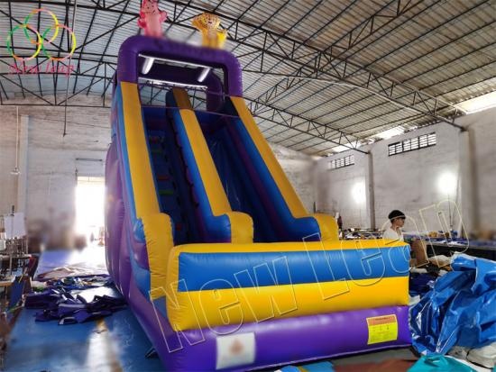 newleap factory inflatable dry slide